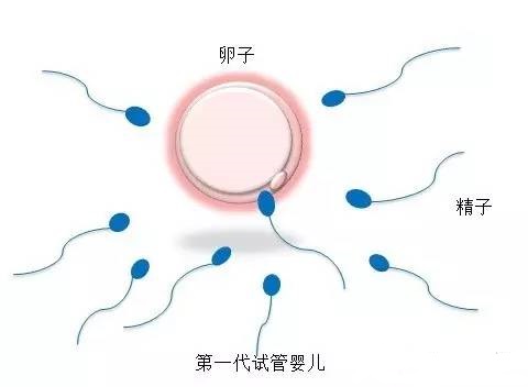 万级层流胚胎实验室